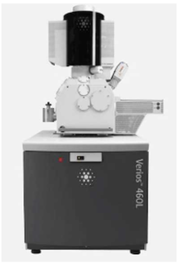 Verios 5 / ThermoFisher Scientific